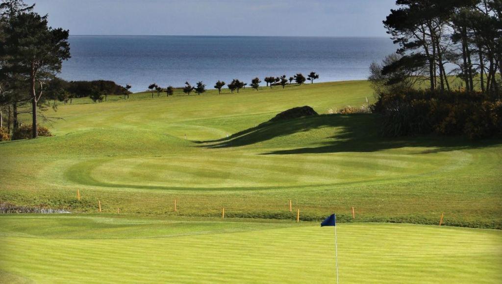 Seafield Hotel & Spa Resort Gorey Exterior foto